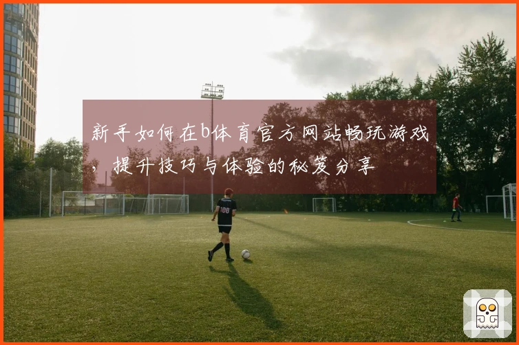 新手如何在b体育官方网站畅玩游戏，提升技巧与体验的秘笈分享