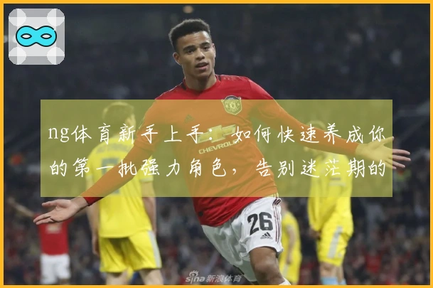 ng体育新手上手：如何快速养成你的第一批强力角色，告别迷茫期的弯路